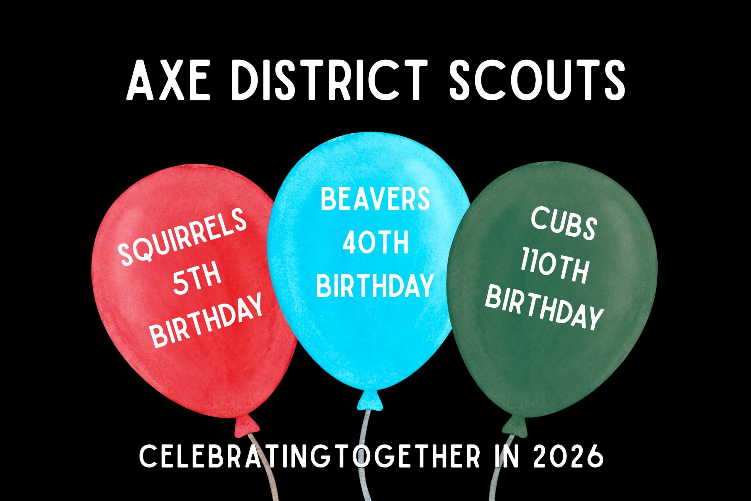 Squirrels, Beavers, Cubs – District Birthday Party
